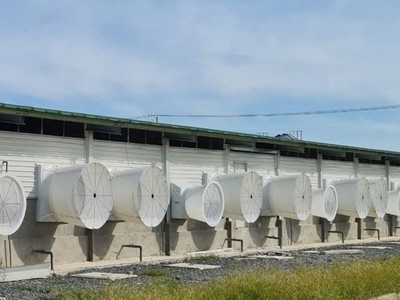 Siba Group (SBG) thay Kế toán trưởng