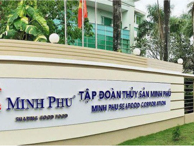 6 tháng, Thuỷ sản Minh Phú (MPC) lãi 415,4 tỷ đồng và dòng tiền âm thêm 390,7 tỷ đồng