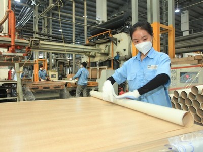 Gỗ An Cường (ACG) sắp trả cổ tức thêm 10%
