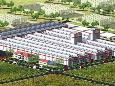 Đầu tư và Xây dựng Bình Dương ACC muốn huỷ kế hoạch trả cổ tức 5% trong năm 2025