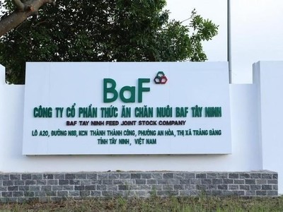 BAF Việt Nam (BAF) sắp phát hành 8 triệu cổ phiếu ESOP chiết khấu 68,4% giá thị trường