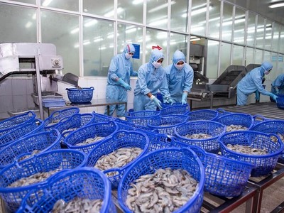 Thực phẩm Sao Ta (FMC): Doanh số tháng 9 giảm 15% về 23,28 triệu USD
