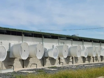 Siba Group (SBG) muốn phát hành riêng lẻ 20 triệu cổ phiếu với giá chiết khấu 30,1% thị trường