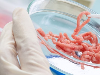 Mỹ cho phép bán thịt nhân tạo