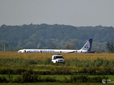Chiếc máy bay Airbus A321 hạ cánh xuống cánh đồng ngô