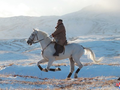 Niềm đam mê cưỡi ngựa của các nguyên thủ quốc gia