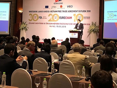EuroCham: Việt Nam đang thặng dư thương mại với EU khoảng 31,8 tỷ USD