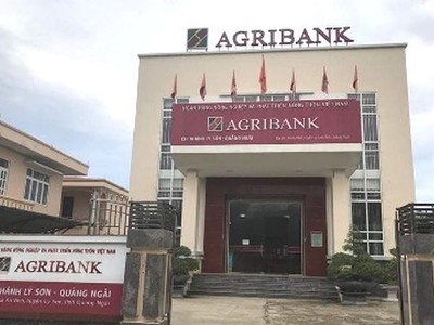 Agribank Lý Sơn đóng vai trò tích cực thúc đẩy quá trình phát triển kinh tế- xã hội 
huyện đảo tiền tiêu của Tổ quốc