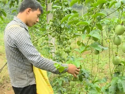 Cho vay các nhu cầu phục vụ đời sống của cư dân trên địa bàn nông thôn