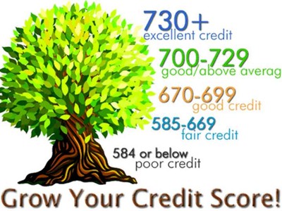 Mức độ quan trọng của điểm tín dụng như thế nào?