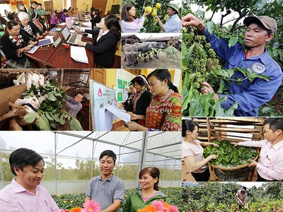 Hộ nghèo được vay tối đa 100 triệu đồng