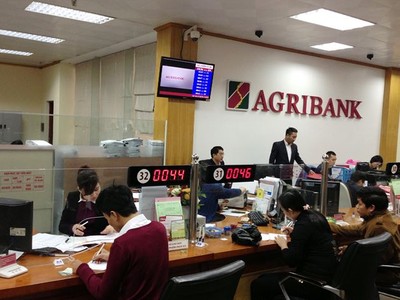 Các quy định về tổ trưởng tổ vay vốn của Agribank