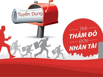 Bảo hiểm Bảo Long tuyển nhân sự