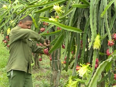 Tìm hiểu về chính sách tín dụng cho nông nghiệp và nông thôn