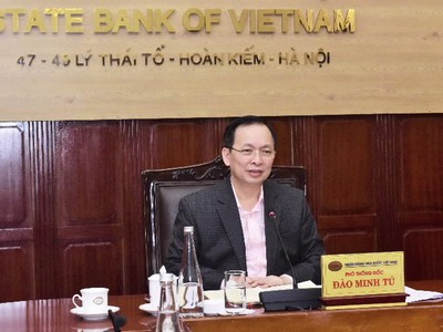 Phó Thống đốc Thường trực NHNN Đào Minh Tú.