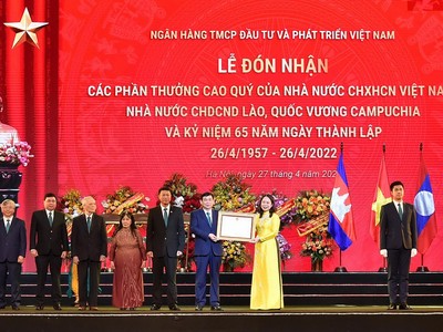 Phó Chủ tịch nước CHXHCN Việt Nam Võ Thị Ánh Xuân trao quyết định.