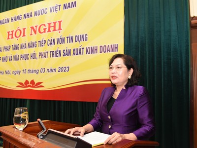 Bà Nguyễn Thị Hồng, Thống đốc NHNN Việt Nam