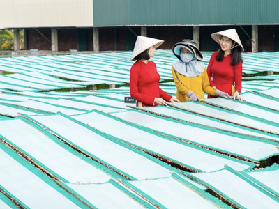 Agribank dành hơn 180.000 tỷ đồng vốn ưu đãi lãi suất thấp hỗ trợ khách hàng sản xuất, kinh doanh