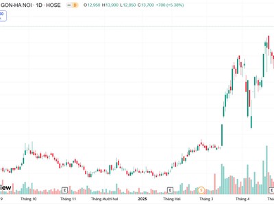 Cổ phiếu SHB tăng trưởng liên tục từ đầu năm