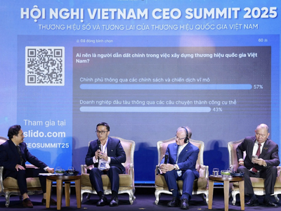 Các diễn giả chia sẻ trong phiên thảo luận tại Hội nghị Vietnam CEO Summit 2025