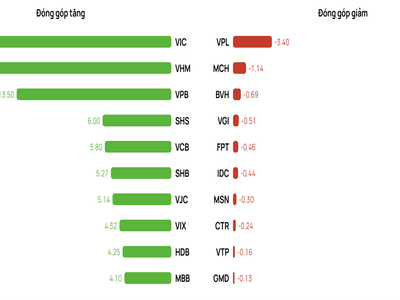Top các cổ phiếu đón góp tăng - giảm trong VN-Index trong tháng gần nhất (tính đến 4/8). Nguồn dữ liệu: Vietcap IQ 