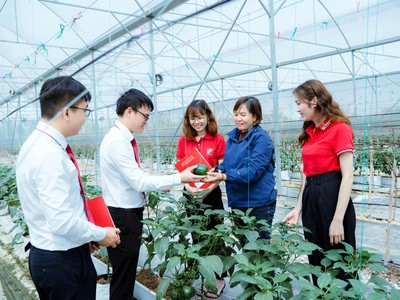 Agribank với trách nhiệm ESG toàn diện, từ “vốn xanh” đến an sinh cộng đồng