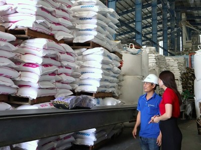 Dòng vốn Agribank và kỳ vọng bứt tốc 2026