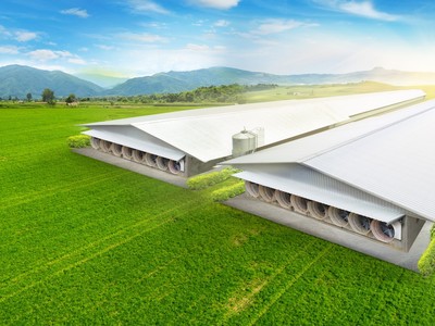 Ảnh thiết kế trang trại lợn Thái Dương (Nghệ An) - Ảnh: Lysaght Agrished.