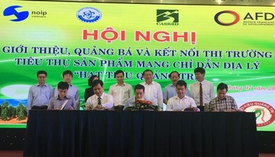 Hạt tiêu Quảng Trị được chỉ dẫn địa lý