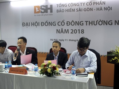 Bầu Hiển tiếp tục được bầu làm chủ tịch Bảo hiểm BSH
