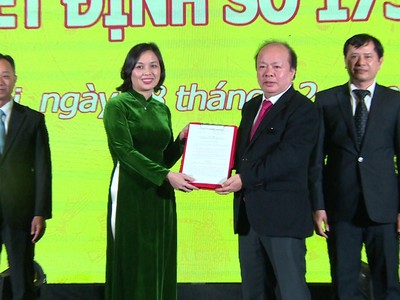 Ra mắt Viện Phát triển bảo hiểm Việt Nam