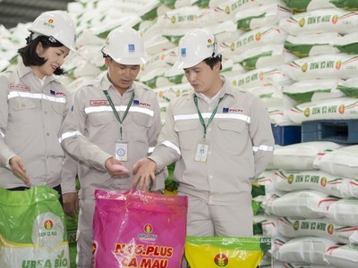 Đạm Cà Mau nhiều lần phản ánh những hệ lụy của việc không đưa phân bón vào nhóm mặt hàng chịu thuế GTGT