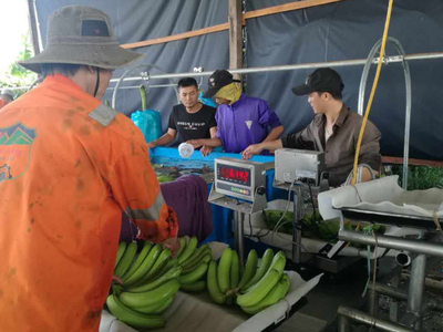 Hoạt động kinh doanh chính của HNG vẫn chưa đem lại lợi nhuận. Ảnh: Lê Toàn