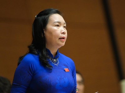 Đại biểu Quốc hội Lý Tiết Hạnh (đoàn Bình Định)