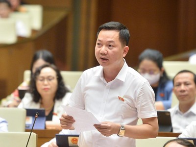 Đại biểu Trịnh Xuân An (đoàn Đồng Nai) tranh luận với Thống đốc Nguyễn Thị Hồng chiều 8/6.