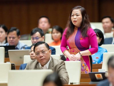 Đại biểu Quốc hội Vũ Thị Lưu Mai phát biểu tại buổi thảo luận hội trường sáng 27/10.