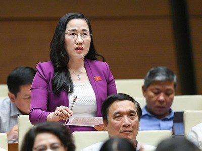 ĐBQH Nguyễn Thị Thuỷ (đoàn Bắc Kạn)