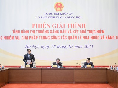 Phiên giải trình của Uỷ ban Kinh tế của Quốc hội sáng 28/2.