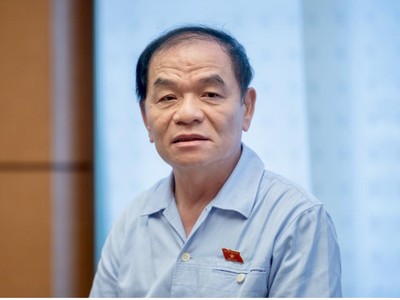 ĐBQH Lê Thanh Vân phát biểu tại họp tổ sáng 25/5