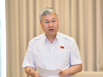 ĐBQH Trần Văn Lâm phát biểu tại họp tổ Quốc hội sáng 25/5