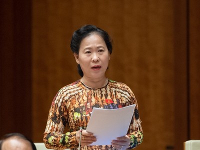 ĐBQH Tô Ái Vang (đoàn Sóc Trăng) đề nghị giảm thuế VAT 4% thay vì 2% như đề xuất của Chính phủ.