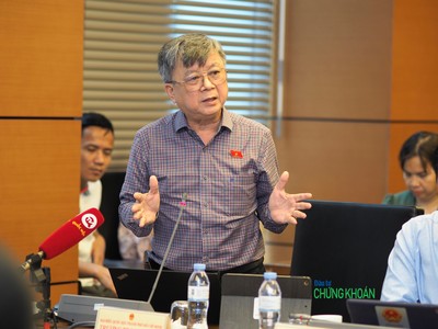 Đại biểu Quốc hội Trương Trọng Nghĩa phát biểu tại tổ sáng 9/6 về dự thảo Luật Đất đai (sửa đổi) - Ảnh: M.Minh