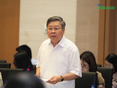 Ông Đinh Dũng Sỹ phát biểu tại phiên họp (Ảnh: M.Minh)