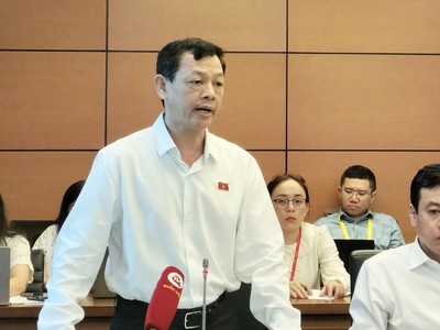 Giám đốc Bệnh viện Chợ Rẫy Nguyễn Tri Thức phát biểu tại họp tổ Quốc hội sáng 24/10.