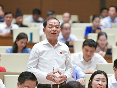 Đại biểu Quốc hội Lê Thanh Vân (đoàn Cà Mau) phát biểu tại hội trường sáng 3/11