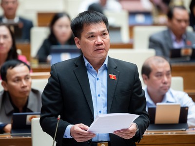 ĐBQH Dương Khắc Mai cho rằng bất động sản, chứng khoán, ngân hàng... đang rất khó khăn nhưng không được giảm VAT. 