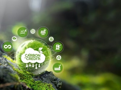 Thủ tướng chỉ đạo tăng cường quản lý tín chỉ các-bon