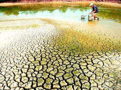 Thiếu nước ngọt, xâm nhập mặn ở đồng bằng sông Cửu Long đang là vấn đề cấp bách (Ảnh minh hoạ)