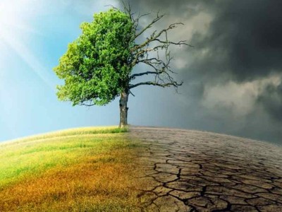 Thành lập Hội đồng quốc gia về phát triển bền vững