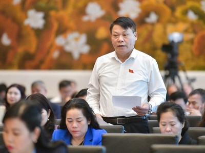 Đại biểu Quốc hội Nguyễn Thành Nam (đoàn Phú Thọ) đề nghị không áp thuế VAT với mặt hàng phân bón